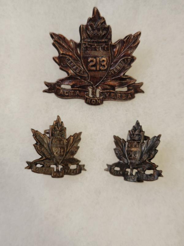 211th Inf Bn Cap Badge and Collars